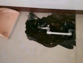 五原卫生间测漏水多少钱